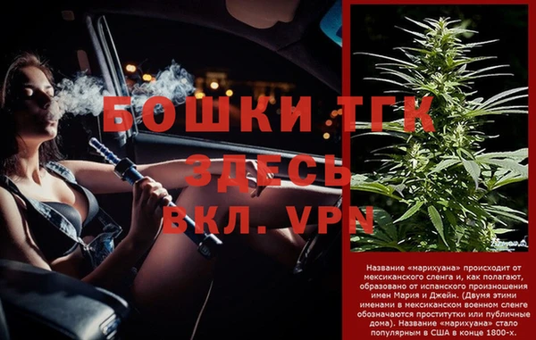 тгк Лиски