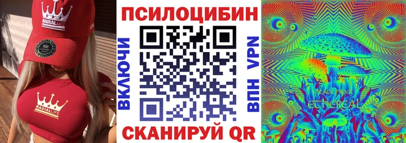 Псилоцибиновые грибы Psilocybe  кракен ТОР  Мостовской 